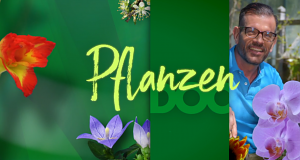 Pflanzendoc