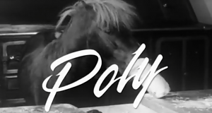 Poly