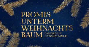 Promis unterm Weihnachtsbaum