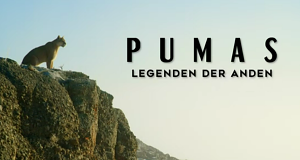Pumas - Legenden der Anden