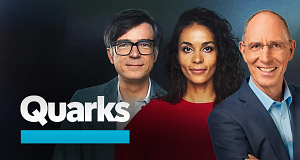 Quarks