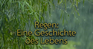 Regen: Eine Geschichte des Lebens