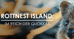 Rottnest Island: Im Reich der Quokkas
