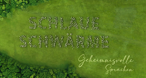 Schlaue Schwärme