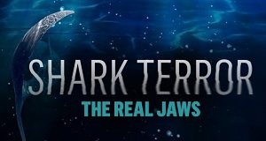 Shark Terror - Angriff des Weißen Hais
