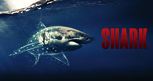 Sharks - Gefürchtete Räuber