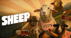 Sheep (D, 2026 – )