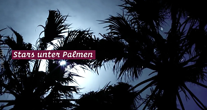 Stars unter Palmen