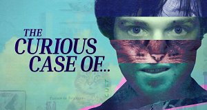 The Curious Case of...