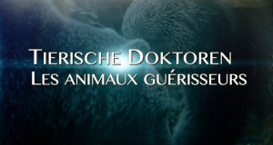 Tierische Doktoren