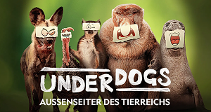 Underdogs - Außenseiter des Tierreichs