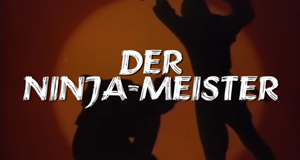 Der Ninja-Meister