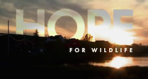 Hope - Schutzengel der Wildtiere