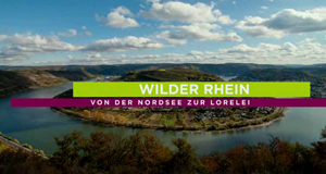 Wilder Rhein