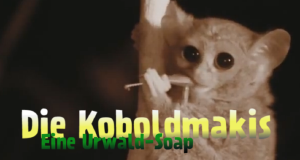 Die Koboldmakis - Eine Urwald-Soap