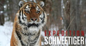 Expedition Schneetiger