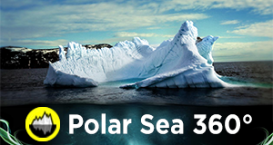 Polar Sea 360° - Per Anhalter durch die Arktis