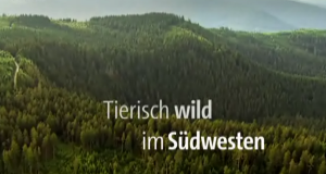 Tierisch wild im Südwesten