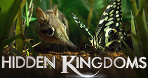 Hidden Kingdoms - Im Reich der kleinen Tiere