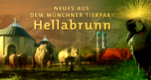 Neues aus dem Münchner Tierpark Hellabrunn