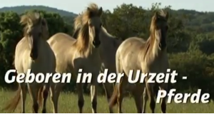 Pferde: Geboren in der Urzeit
