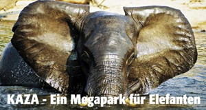 KAZA - Ein Megapark für Elefanten