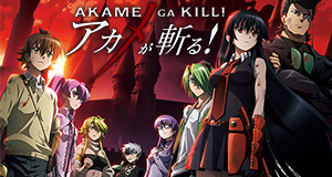 Akame ga Kill - Schwerter der Assassinen