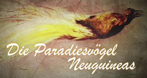 Die Paradiesvögel Neuguineas