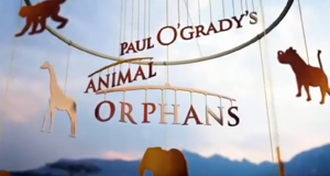 Paul O'Grady's Animal Orphans