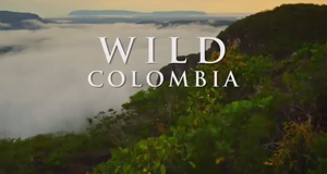 Wildes Kolumbien