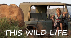 This Wild Life - Familienleben in Afrikas Wildnis