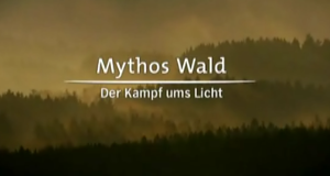 Mythos Wald