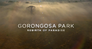 Gorongosa - Ein Paradies kehrt zurück