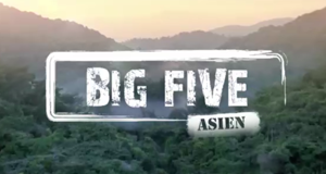 Big Five Asien