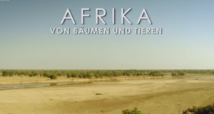 Afrika - Von Bäumen und Tieren
