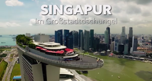 Singapur - Im Großstadtdschungel