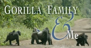 Unter Gorillas - Überleben in der Horde