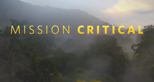Mission Critical: Tierfilmer extrem
