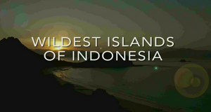 Wildes Indonesien