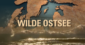 Wilde Ostsee