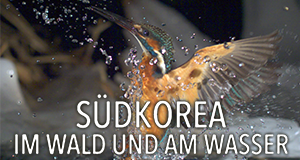 Südkorea - Im Wald und am Wasser