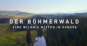 Der Böhmerwald - Eine Wildnis mitten in Europa