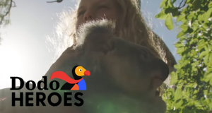 Dodo Heroes - Aus Liebe zu Tieren