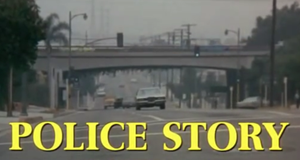 Police Story - Immer im Einsatz