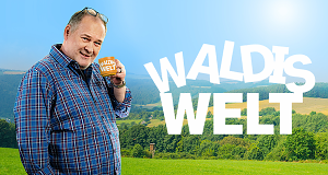 Waldis Welt