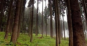 Wandervolles Hessen
