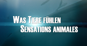 Was Tiere fühlen