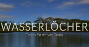 Wasserlöcher - Oasen für Afrikas Fauna
