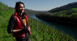 Wein am Rhein