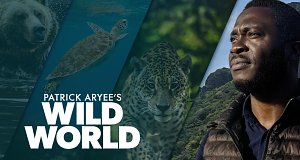 Wild World mit Patrick Aryee